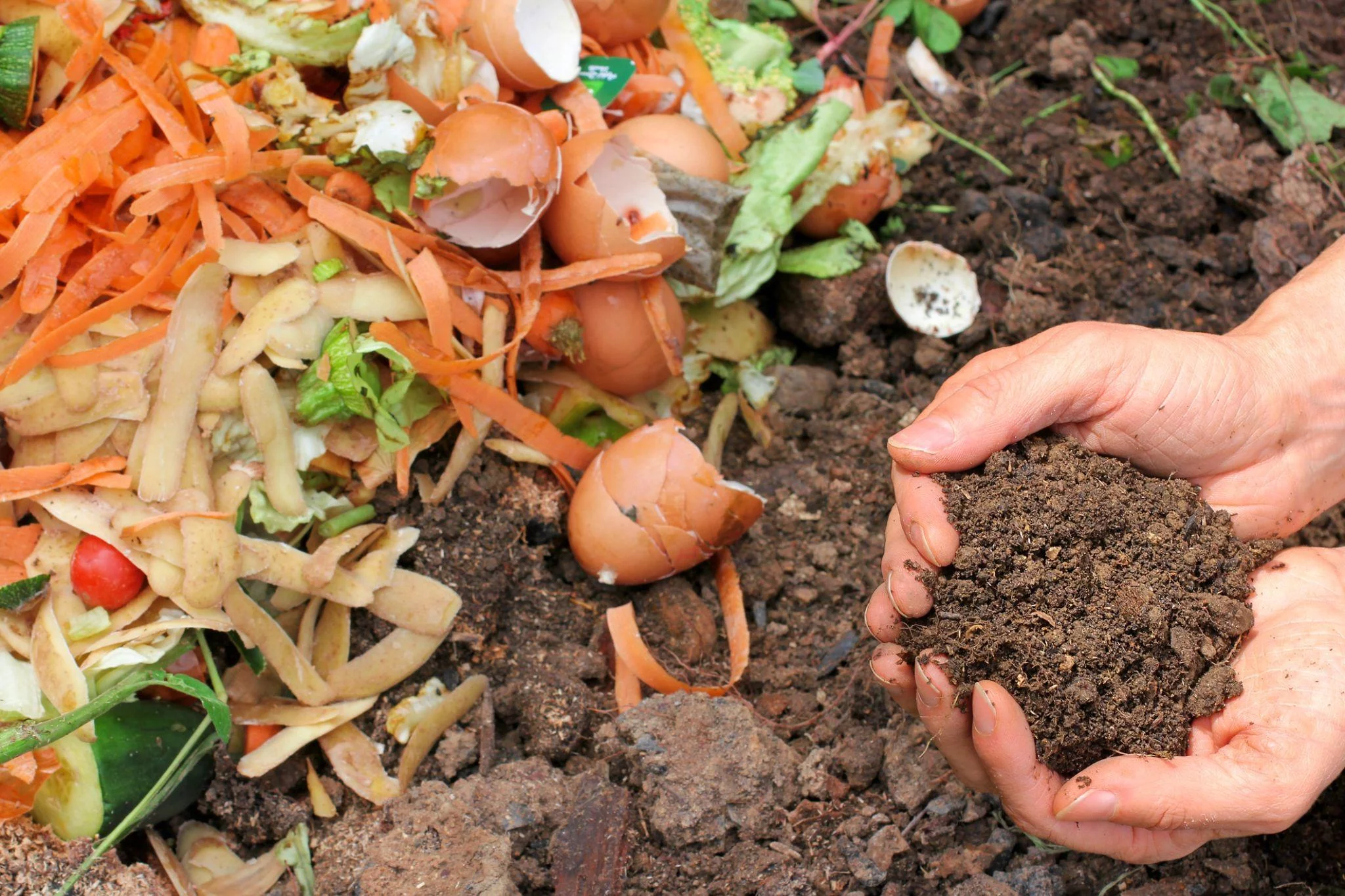 Adubo orgânico produzido por meio da compostagem de resíduos orgânicos.
