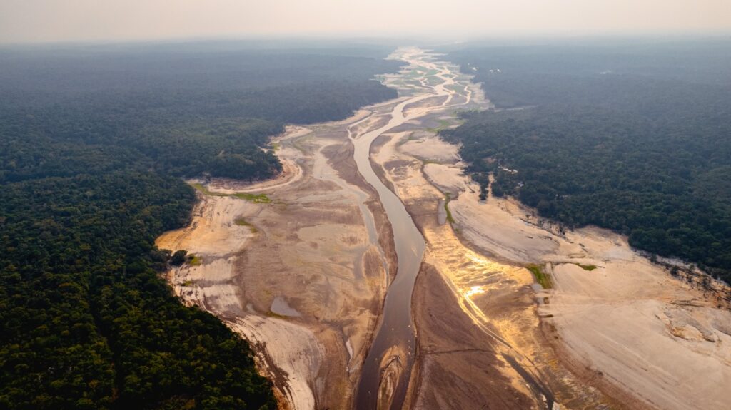 Se a Floresta Amazônica secar