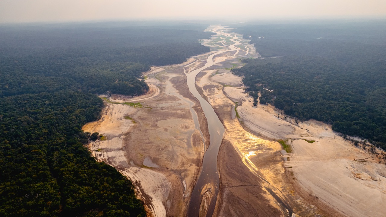 Se a Floresta Amazônica secar